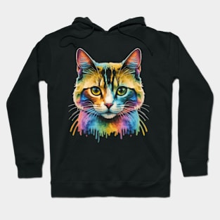 Rainbow-cat Hoodie